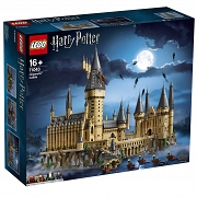 LEGO® Harry Potter Zamek Hogwart™ 71043